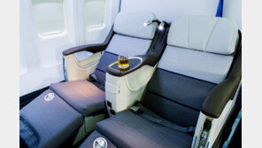 비즈니스석 승객들 잠든 심야시간에 금품 훔친 외국인 승객