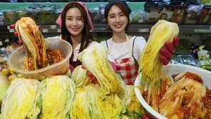 치솟는 배춧값에…‘金치대란’ 올해 또 올까 대형마트 ‘분주’