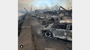 칵테일 홀짝이던 사람들 등 뒤로 산불이 다가왔다