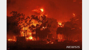 그리스 대형산불 확산 사망자 20명으로 늘어나