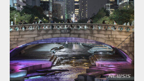 장대비에 1400호 정전 피해…‘붕괴 우려’ 2명 집 떠나 대피