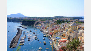 “샌드위치 자르는데 3000원”…유럽 휴양지 ‘바가지요금’에 신음