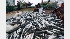 윤재옥 “일본, 약속 하나라도 바꿀 시 방류 중단 요구할 것”