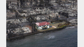 하와이 ‘빨간 지붕 집’, 불길 피한 이유는…“지붕 금속으로 교체”