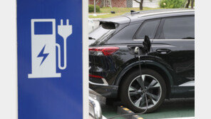 테슬라發 ‘반값 전기차’ 전쟁…국산차도 中 배터리 달고 ‘참전’