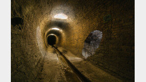 ‘하수로 탐험’ 러 불법 관광하던 8명 폭우에 참변