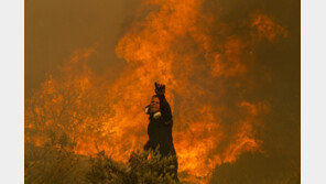 그리스 산불 계속… 잿더미서 시신 20여구 발견 
