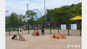 “멍멍! 반려견 무료 놀이터에서 산책하개∼” 