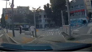 보행자 때문에 멈췄는데 뒤에서 ‘빵빵~’ 경적 울려댄 운전자의 결말