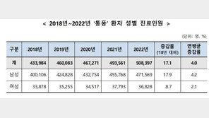 지난해 통풍 환자 50만명…남성 47만, 여성의 12.8배