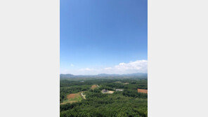 미래 가치 풍부한 파주 접경 지역 토지 