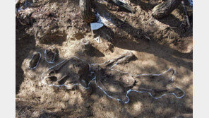 “꼭 살아올게” 약혼녀 두고 떠난 6·25전사자, 73년만 가족 품으로