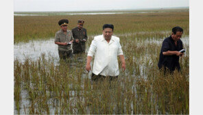 “치수사업 빈구석 찾아라”…간석지 붕괴 후 예민해진 북한