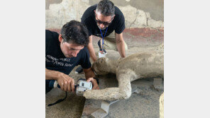 2000년전 폼페이 화산폭발, X레이로 본 희생자들 사망 원인은