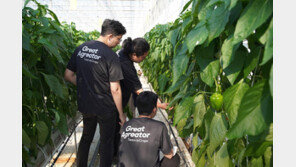 [농업이 IT(잇)다] 아이오크롭스 “자동화 인공지능·로봇, 선진 스마트팜 토대”