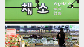 4인 가족 세끼 집밥 먹으면 9만8049원…전년比 2% 저렴