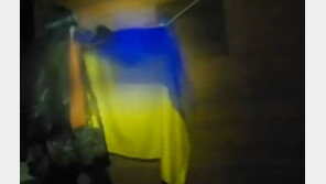 크림반도 기습상륙…우크라, 국기도 일시 게양