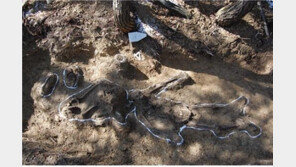 “꼭 살아올게, 결혼하자”… 약혼녀 두고 떠난 6·25 전사자