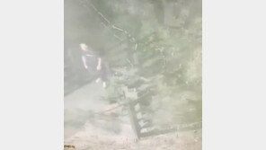 산책 중인 여성 풀숲 끌고 가…강간미수 혐의 40대 구속