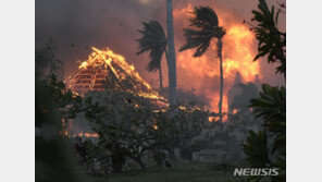 ‘산불 참사’ 하와이 마우이섬서 또 화재…주민 대피령