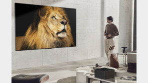 LG전자, 올레드TV 유럽 본격 진출