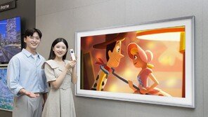 내달 獨서 유럽 최대 가전쇼-모터쇼… 삼성-LG전자 동시 출격