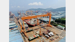 세계 최대 골리앗 크레인에 ‘한화로고’ 새겼다