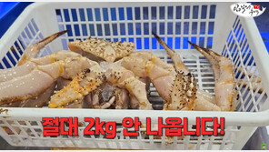 킹크랩 배딱지 안에 얼음이… ‘신종 바가지’ 논란