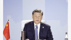 中 시진핑 “40억 달러 규모 ‘브릭스 협력 기금’ 설립”