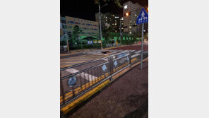 민식이법 무섭지? 조롱하듯…스쿨존에 ‘대 자’로 드러누운 아이들