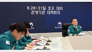 30일까지 호우…정부 “접경지역, 북한 방류 철저 대비”