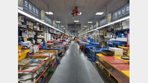 자갈치시장 “이렇게 손님 없는 것 처음”…손님 “건강 포기하고 먹는 것”