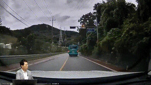 “브레이크 안 밟혀” 33년차 택시 기사, 버스에 쿵…제조사는 “빗길 사고”