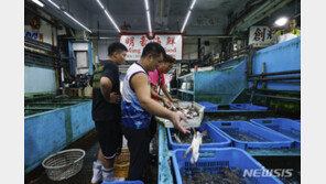 오염수 방류에 日 수산물 금지한 중국…‘한국산’으로 눈돌릴까?