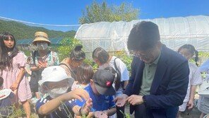 꿈틀꿈틀∼ 꼬리명주나비 애벌레 관찰해봐요