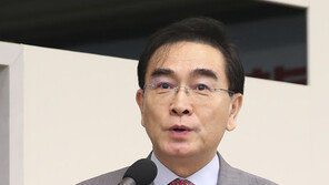 “제주 4·3 사건은 김일성 짓” 태영호 의원, 명예훼손 불송치