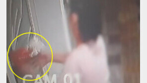 “화나서”…소화기로 공중화장실 창문 부수고 車 내려친 여성