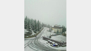 8월의 크리스마스…이탈리아서 때 아닌 눈으로 이상기후