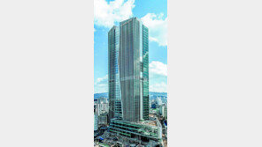 건전한 게임 문화-지배구조 확립