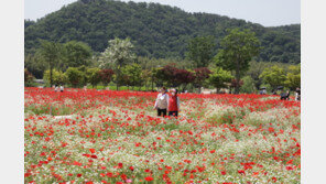 태화강국가정원 내 ‘꽃 도난’ 빈발…울산시 감시 강화