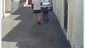 대문앞에 대변이…대형견 배설물 안치우고 그냥 간 견주