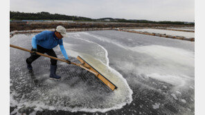 천일염 방사능 검사 염전 전체로 확대…10월까지 마무리