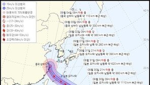 11호 태풍 ‘하이쿠이’ 국내 영향 가능성↑…“1일께 판가름”