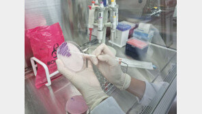 옥천 식당서 김밥 먹은 40명 식중독 증세…10명 입원