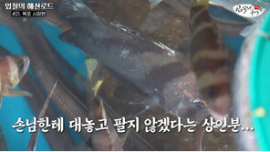 “자연산 돔, 횟감으로 안 팔아…오래돼 맛없고 양 적다” 목포 수산시장 양심
