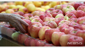 “추석 물가 들썩”…가공식품에 채소·과일까지 오르네