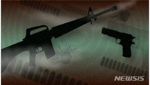 도비탄 추정 탄환에 40대 민간인 총상…인근 軍사격장서 날아든 듯