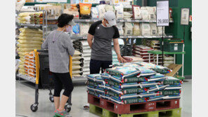 역대 최소 기록한 벼 재배면적…수확기 쌀값 80㎏당 20만원대 전망