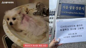 “풀 파워로 때려…” 시민단체, 동물학대 견주 고발