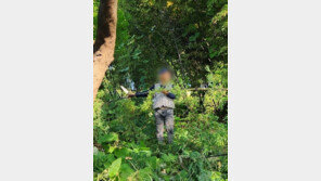 올레길 절벽 호텔 부지에 움막 짓고 살던 60대, 리조트 대나무 훔치다 구속